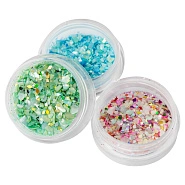 Ракушка колотая микс в баночках 